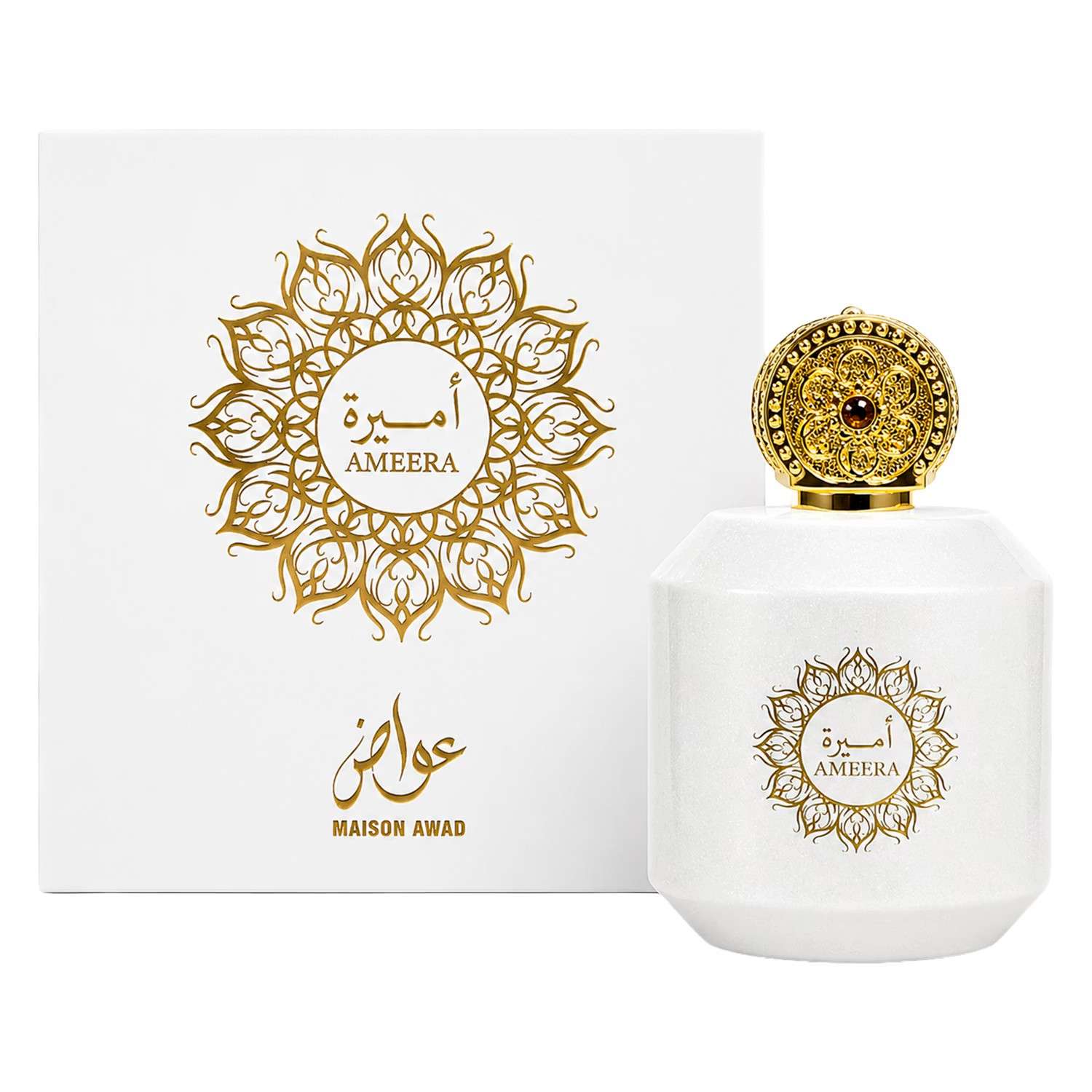 perfume-maison-awad-ameera-edp-100ml-1362602-she8h Perfume Maison Awad Ameera Eau de Parfum Femenino 100ml - Imagen 1